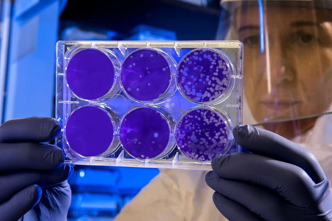 Día Mundial de la Ciencia para la Paz y el Desarrollo Casa de la Pax